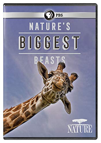 NATURE: Nature's Biggest Beasts DVD [Region Free] von PBS (Direct)