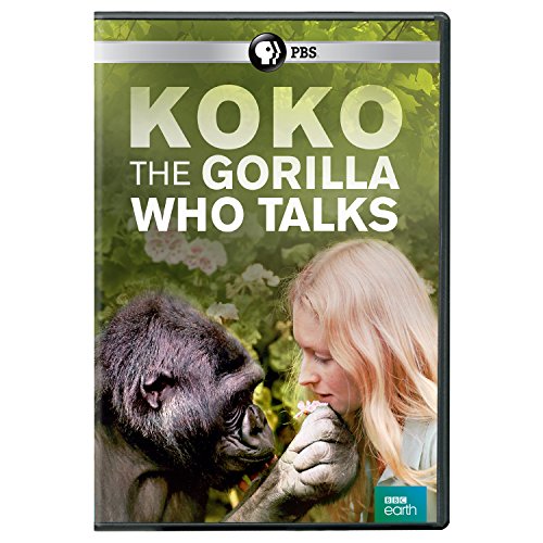 Koko: The Gorilla Who Talks [DVD] [Import] von PBS Distribution