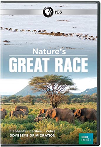 NATURE'S GREAT RACE - NATURE'S GREAT RACE (1 DVD) von PBS Distribution