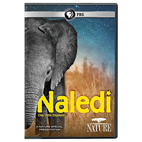 NATURE: NALEDI: ONE LITTLE ELEPHANT - NATURE: NALEDI: ONE LITTLE ELEPHANT (1 DVD) von PBS Distribution