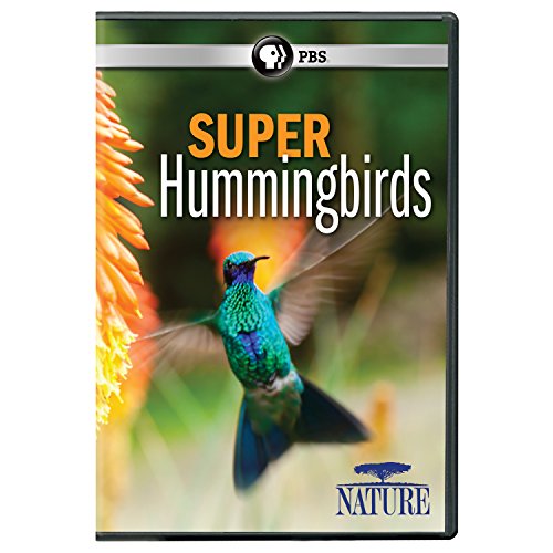 NATURE: SUPER HUMMINGBIRDS - NATURE: SUPER HUMMINGBIRDS (1 DVD) von PBS Distribution