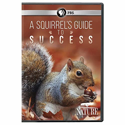 NATURE: A Squirrel's Guide to Success DVD von PBS Home Video