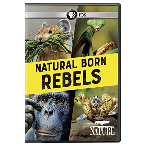 NATURE: NATURAL BORN REBELS - NATURE: NATURAL BORN REBELS (1 DVD) von PBS Home Video