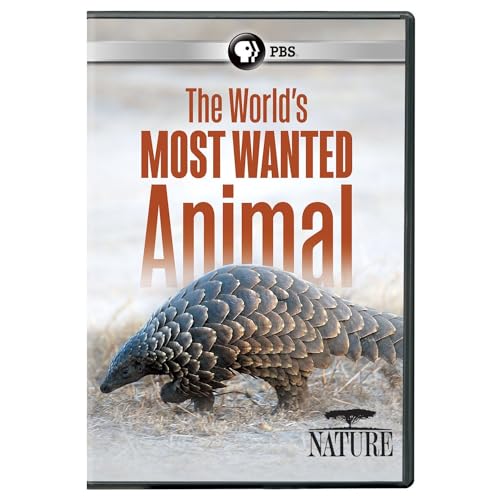 NATURE: WORLD'S MOST WANTED ANIMAL - NATURE: WORLD'S MOST WANTED ANIMAL (1 DVD) von PBS Home Video