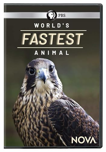 NOVA: World's Fastest Animal DVD von PBS Home Video