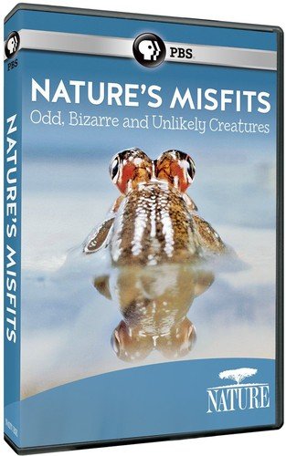 Nature: Animal Misfits [DVD] [Import] von PBS Home Video