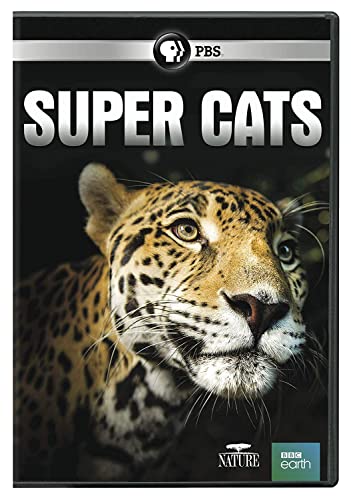 Nature: Super Cats DVD von PBS