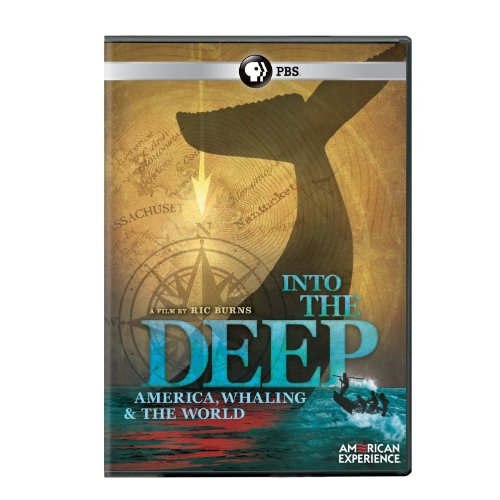 American Experience: Into the Deep - America [DVD] [Import] von PBS