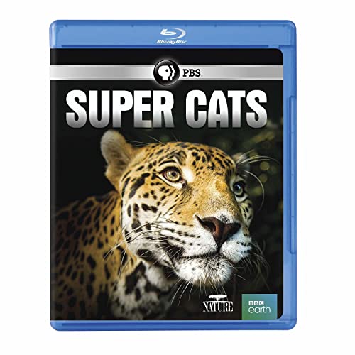 NATURE: Super Cats Blu-ray von PBS