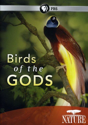 Nature: Birds Of The Gods [DVD] [Region 1] [NTSC] [US Import] von PBS