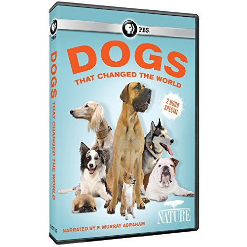 Nature: Dogs That Changed the World [DVD] [Import] von PBS