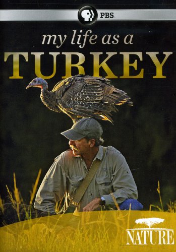 Nature: My Life As A Turkey [DVD] [Region 1] [NTSC] [US Import] von PBS