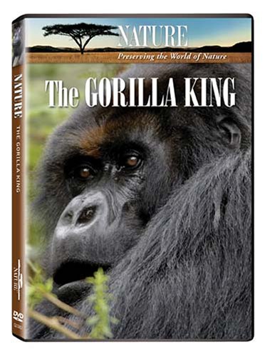 Nature: The Gorilla King [DVD] [Region 1] [US Import] [NTSC] von PBS