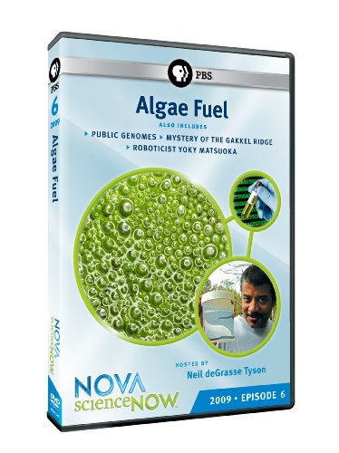 Nova: Science Now 2009 - Episode 6 - Algae Fuel [DVD] [Region 1] [NTSC] [US Import] von PBS