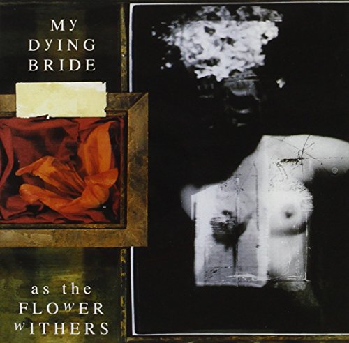 As the Flower Withers/Digi As the Flower Withers/Digi von PEACEVILLE
