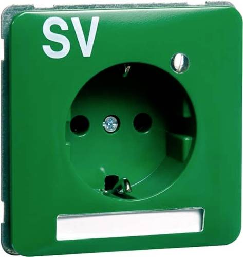 PEHA by Honeywell 1fach Einsatz Steckdose Grün 785111 PEHA by Honeywell 1fach Einsatz Steckdose Grün 785111 von PEHA by Honeywell