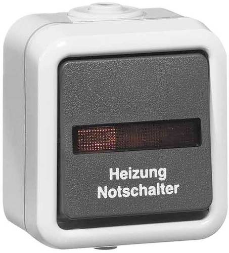 PEHA by Honeywell Komplett Heizungs-Notschalter Grau 302211 PEHA by Honeywell Komplett Heizungs-Notschalter Grau 302211 von PEHA by Honeywell