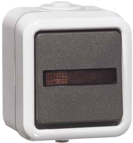 PEHA by Honeywell Komplett Wipptaster Grau 301211 PEHA by Honeywell Komplett Wipptaster Grau 301211 von PEHA by Honeywell