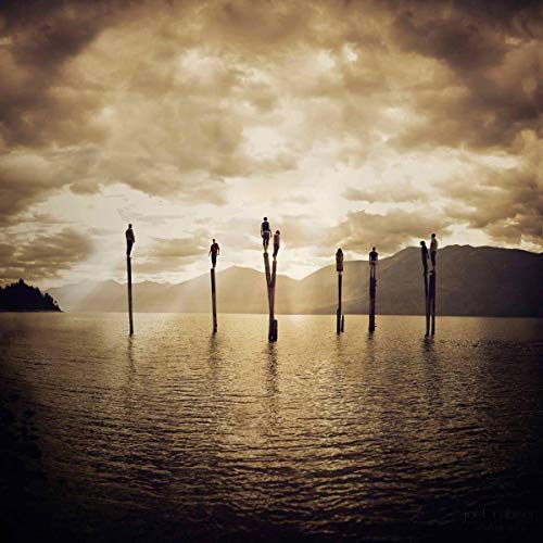 Here Comes the Sun [Vinyl LP] von PELAGIC