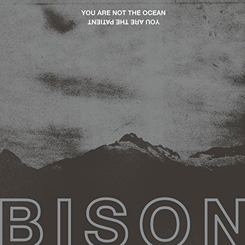 You Are Not the Ocean You Are the Patient [Vinyl LP] von PELAGIC