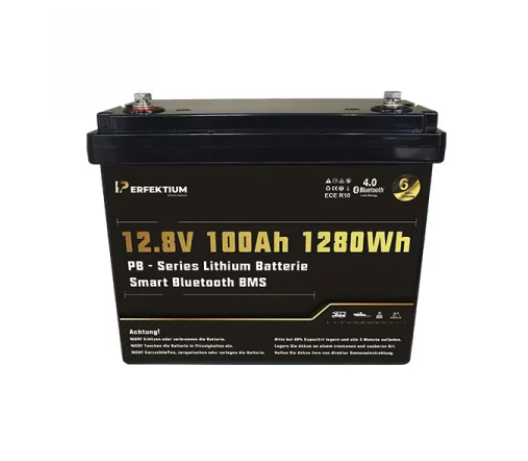 PERFEKTIUM Lithium Batterie PB-12.8V-100Ah PRO Smart BMS mit Bluetooth von PERFEKTIUM