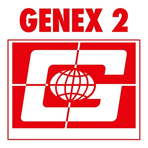 Genex 2 [Vinyl Maxi-Single] von PERMANENT VACATION