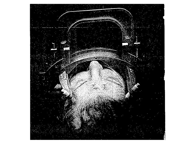 Concede - Indoctrinate (CD) von PETRICHOR
