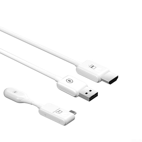 Kabellose USB-Projektionsleinwand mit High-Definition-1080P-Auflösung für vielfältige Anwendungen von PETSTIBLE