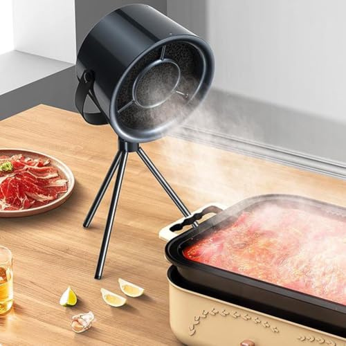 PETSTIBLE Outdoor-Dunstabzugshauben, tragbare Dunstabzugshauben für den Heimgebrauch, Restaurant, Hot Pot Grill, desodorierender Dunstabzugshaubenreiniger (Nr. 1) von PETSTIBLE