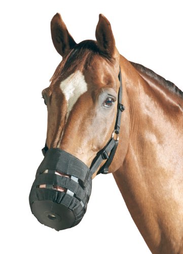 Maulkorb und/oder Fressbremse, schwarz Cob Maulkorb und/oder Fressbremse, schwarz Cob von PF Reitsport