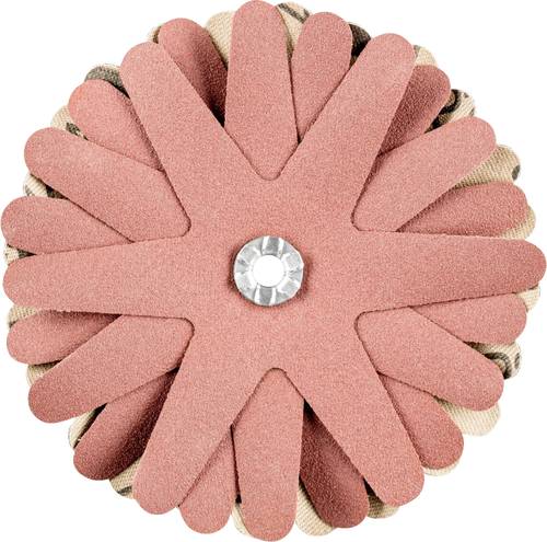 PFERD 42732149 Schleifsterne Durchmesser 90mm 10St. PFERD 42732149 Schleifsterne Durchmesser 90mm 10St. von PFERD