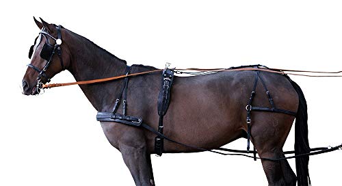 PFIFF Einspännergeschirr ´Standard´, schwarz MMShetty von PFIFF