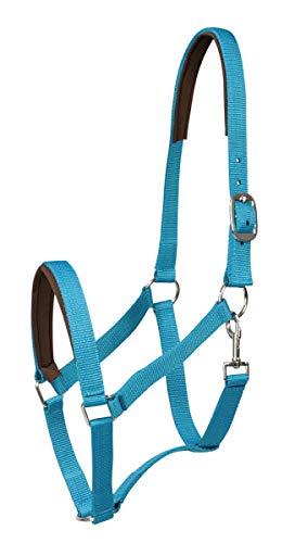 PFIFF Kunststoffhalfter, unterlegt, hellblau Pony PFIFF Kunststoffhalfter, unterlegt, hellblau Pony von PFIFF