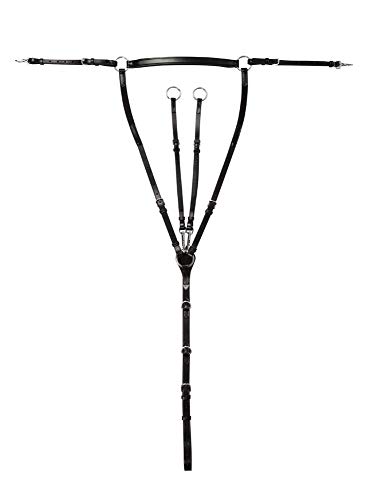 PFIFF Platin, Vorderzeug Coventry, schwarz Cob von PFIFF