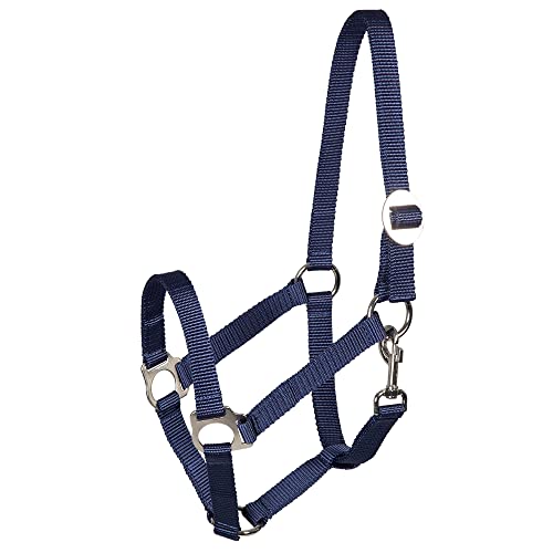 Pfiff 005543 Halfter, Weidehalfter Stallhalfter, Kunststoff Blau Full Warmblut von PFIFF