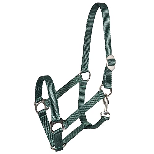 Pfiff 005543 Halfter, Weidehalfter Stallhalfter, Kunststoff Grün Pony Klein von PFIFF