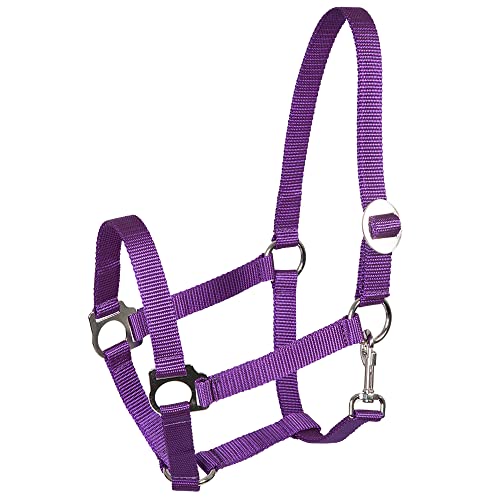 Pfiff 005543 Halfter, Weidehalfter Stallhalfter, Kunststoff Lila Full Warmblut Pfiff 005543 Halfter, Weidehalfter Stallhalfter, Kunststoff Lila Full Warmblut von PFIFF