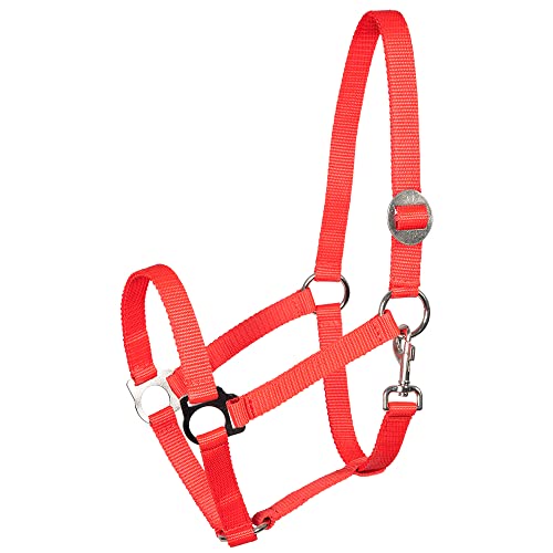 Pfiff 005543 Halfter, Weidehalfter Stallhalfter, Kunststoff Rot Full Warmblut von PFIFF