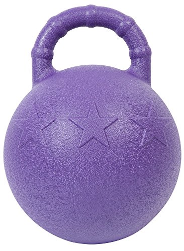 Pfiff 102446 Pferdespielball Fruitstar, Spielball mit Minz-Aroma, Selbstaufblasend, Lila 25cm von PFIFF