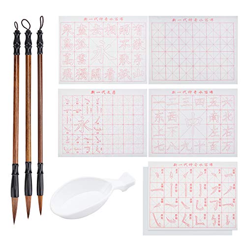 PandaHall 10pcs Chinesische Kalligraphie Set, Rasterpinsel Wasser Schreibtuch Papier Schreibtücher Mit Sienna Chinese Traditional Calligraphy Pinsel Und Wasserschale Für Anfänger Üben, No Ink von PH PandaHall
