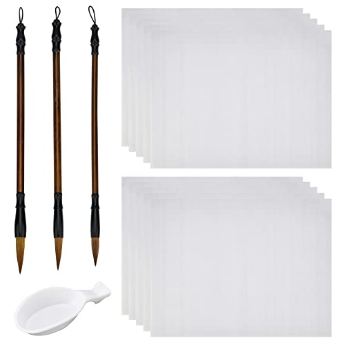 PandaHall 14pcs No Ink Chinesische Kalligraphie Set, Wiederverwendbares Wasser-Schreibtuchpapier, Sienna Chinesische Traditionelle Kalligraphiepinsel Und Wasserschale Für Anfängerübungen, 17x13 von PH PandaHall