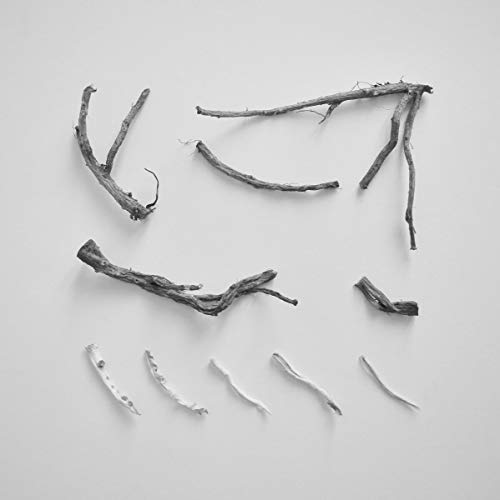 These Charms May Be Sung Over a Wound [Vinyl LP] von PHANTOM LIMB
