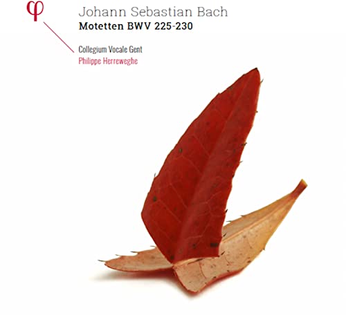 Bach: Motetten BWV 225-230 [Vinyl LP] von PHI-OUTHERE