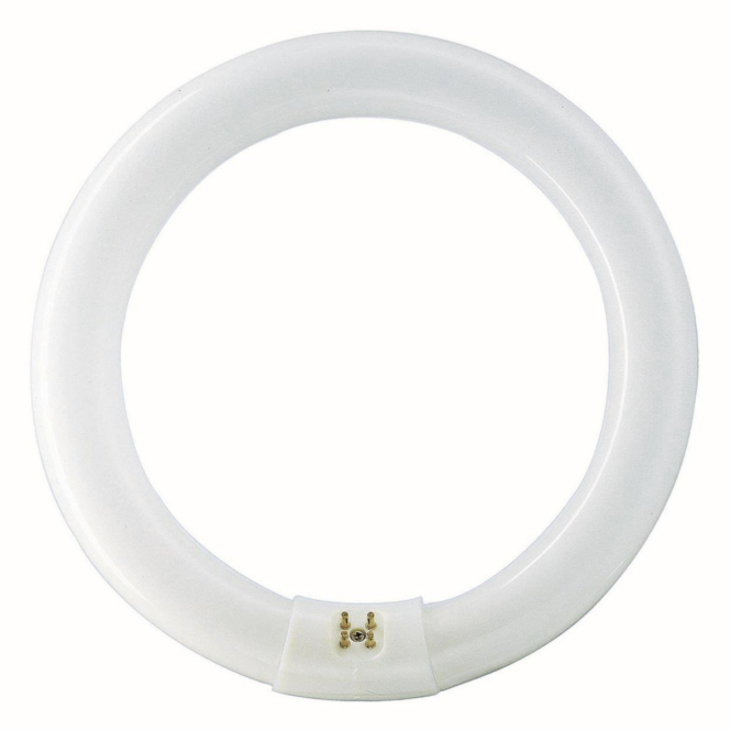 PHIL L-Lampe TL-E 40W-840 28474715 T8R 30mm G10q Ringform EEK G PHIL L-Lampe TL-E 40W-840 28474715 T8R 30mm G10q Ringform EEK G von Signify GmbH