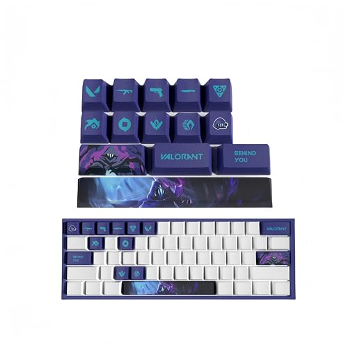 PHJEDXCM (VALORANT) Tastaturkappen (14) PC Gaming Mechanische Tastenkappen Enter Keycap Numpad Benutzerdefinierte Tastenkappen Lasergravur mit jeder mechanischen Tastatur (Neon) von PHJEDXCM