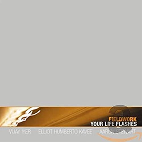 Your Life Flashes von Pi Recordings
