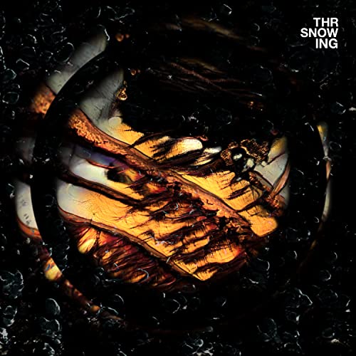 Dragons [Vinyl LP] von Houndstooth