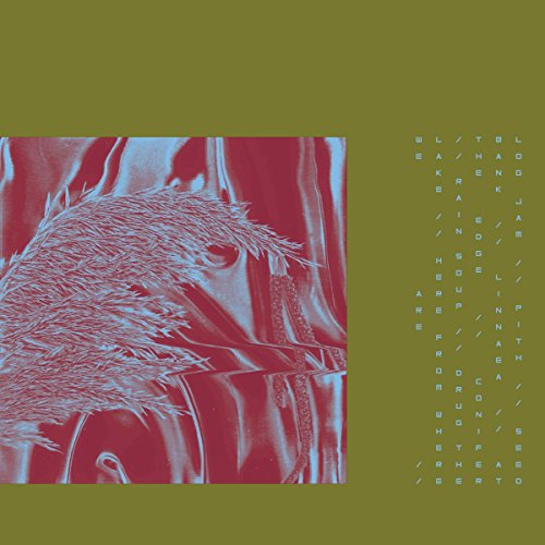 Here From Where We Are [Vinyl LP] von PIAS-HOUNDSTOOTH