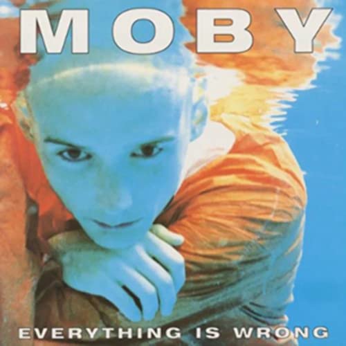 Everything Is Wrong [Vinyl LP] von PIAS-MUTE