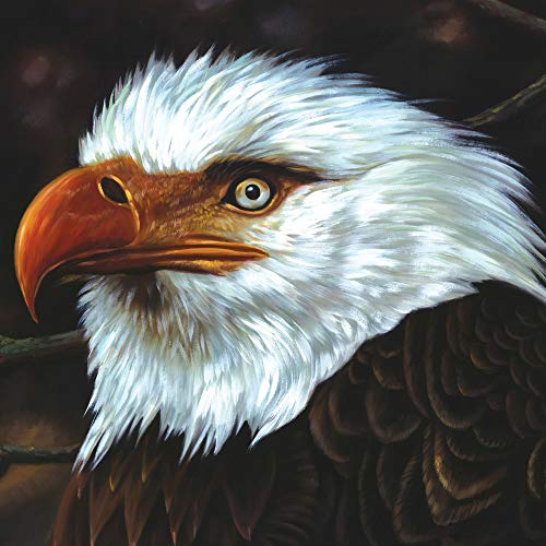 The Hawk Is Howling The Hawk Is Howling von PIAS-WALL OF SOUND
